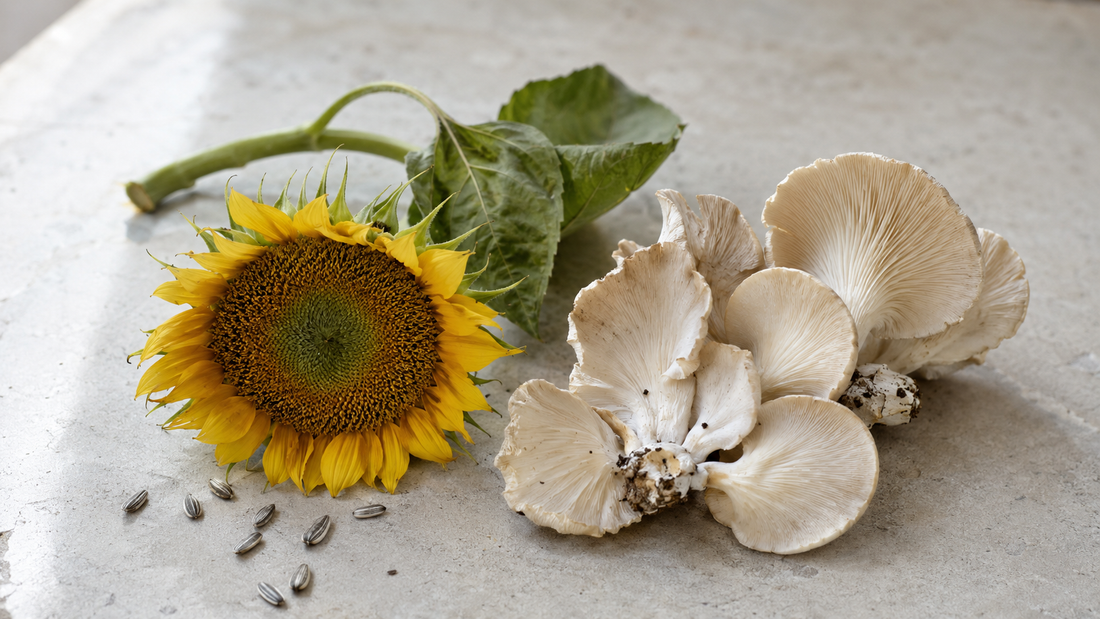 Sonnenblumenprotein oder Mykoprotein? Fleischalternativen im Faktencheck