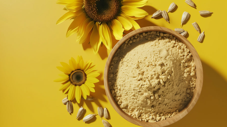 sonnenblumenprotein mit blüten auf gelben hintergrund